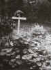 The grave of Corporal John "Max" Rodley of the 21st Independent Parachute Company
