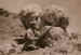 The Lance-Bombardier Leonard Smith Collection