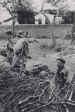 No.3 Commando near Ranville on the 6th June